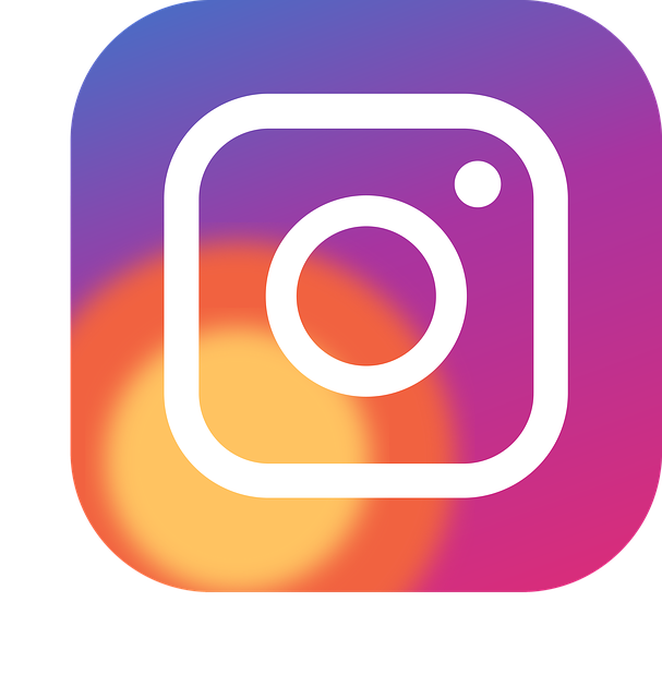 logo_instagram.png